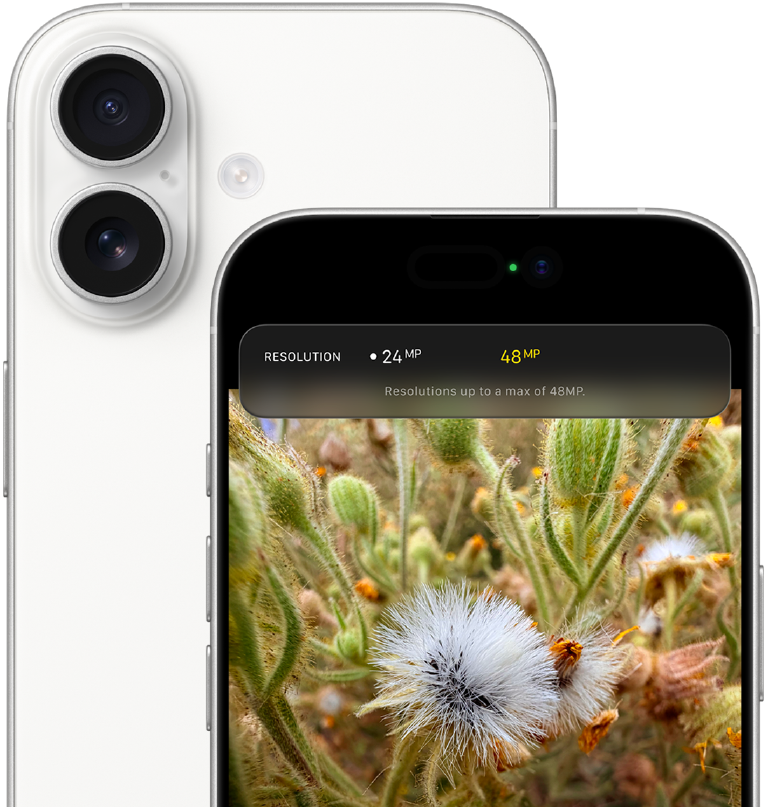 iPhone 17 rear camera module